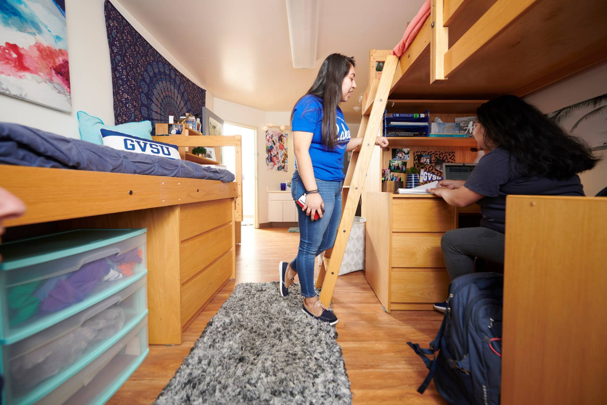 Two students in a Suite style room. One stands by a lofted bed ladder, the other sits at a desk. The room has cozy decor.